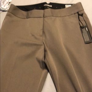 Women’s dress pants